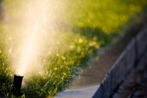 Sprinkler needs adjustment from our Dallas sprinkler repair team